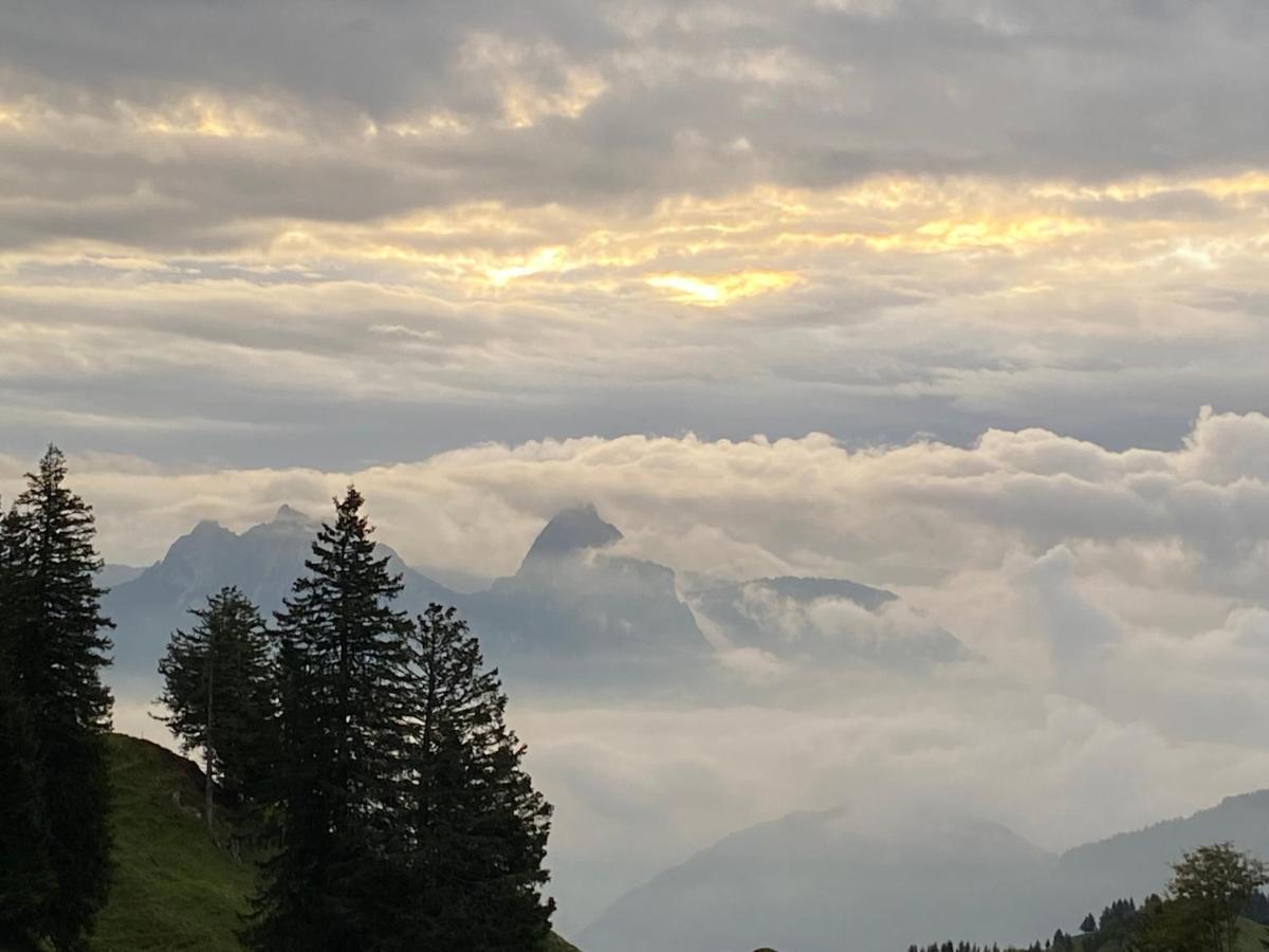 Rigi-Burggeist Alpine Guesthouse Gersau Dış mekan fotoğraf