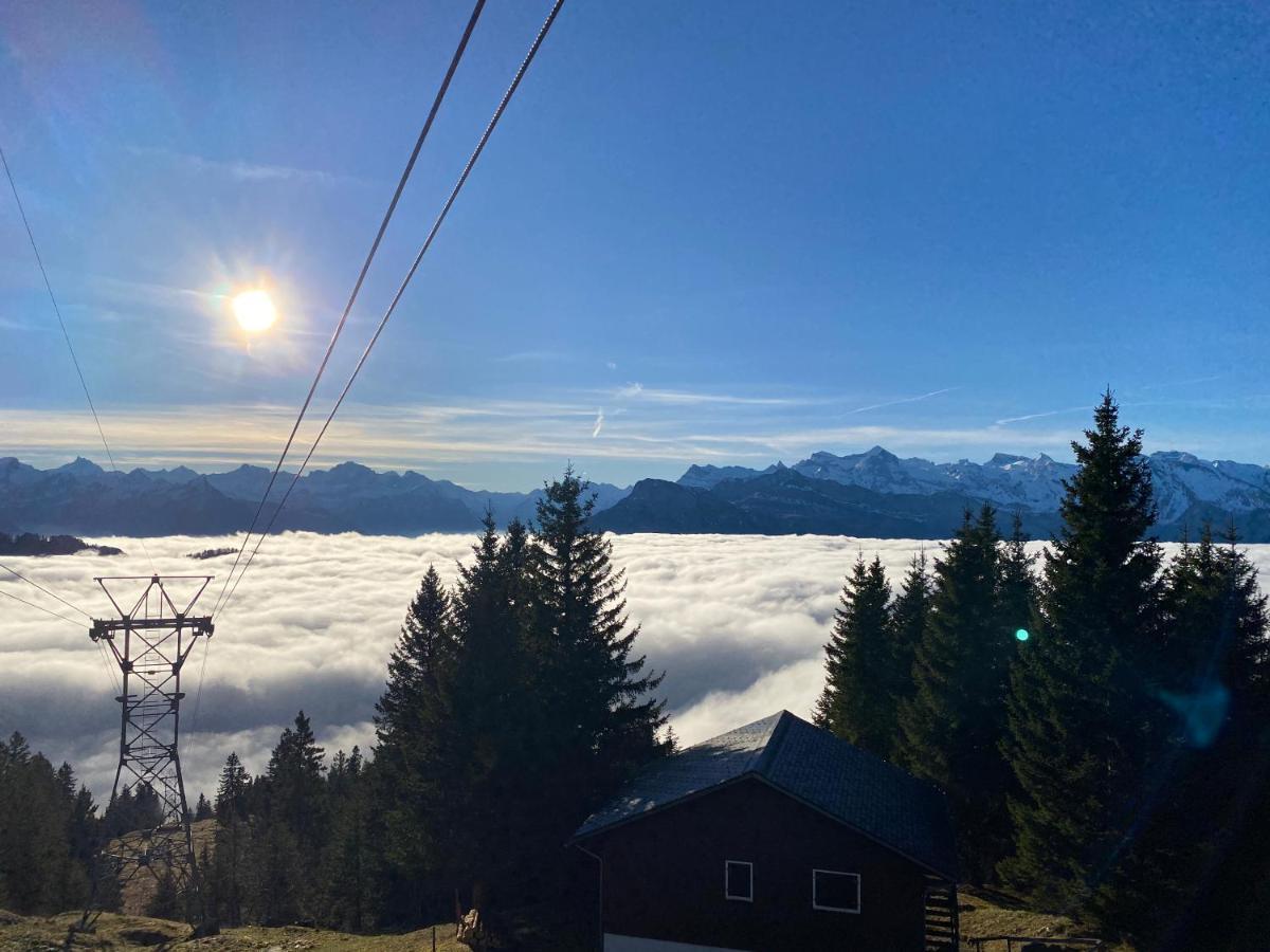 Rigi-Burggeist Alpine Guesthouse Gersau Dış mekan fotoğraf
