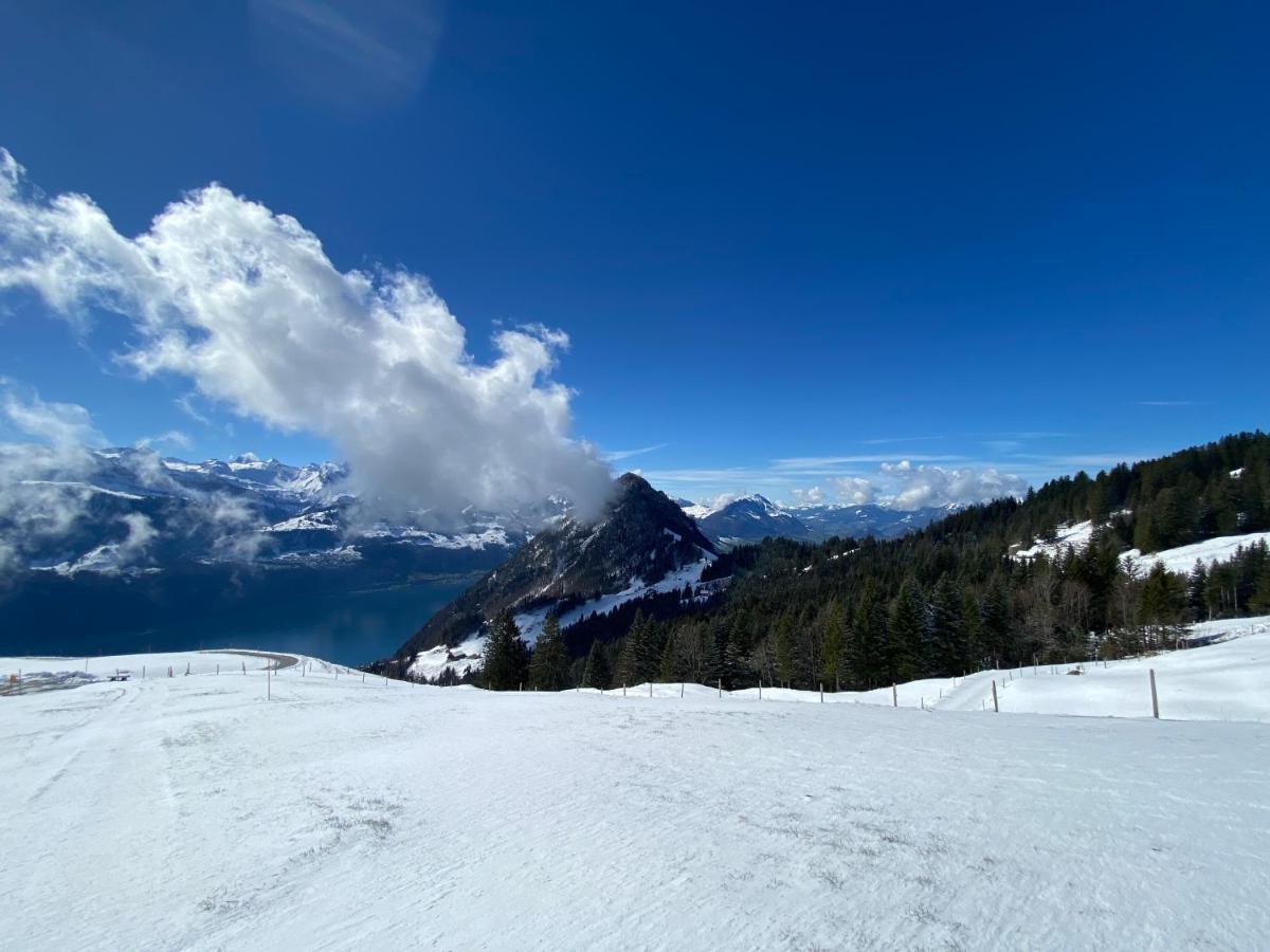 Rigi-Burggeist Alpine Guesthouse Gersau Dış mekan fotoğraf