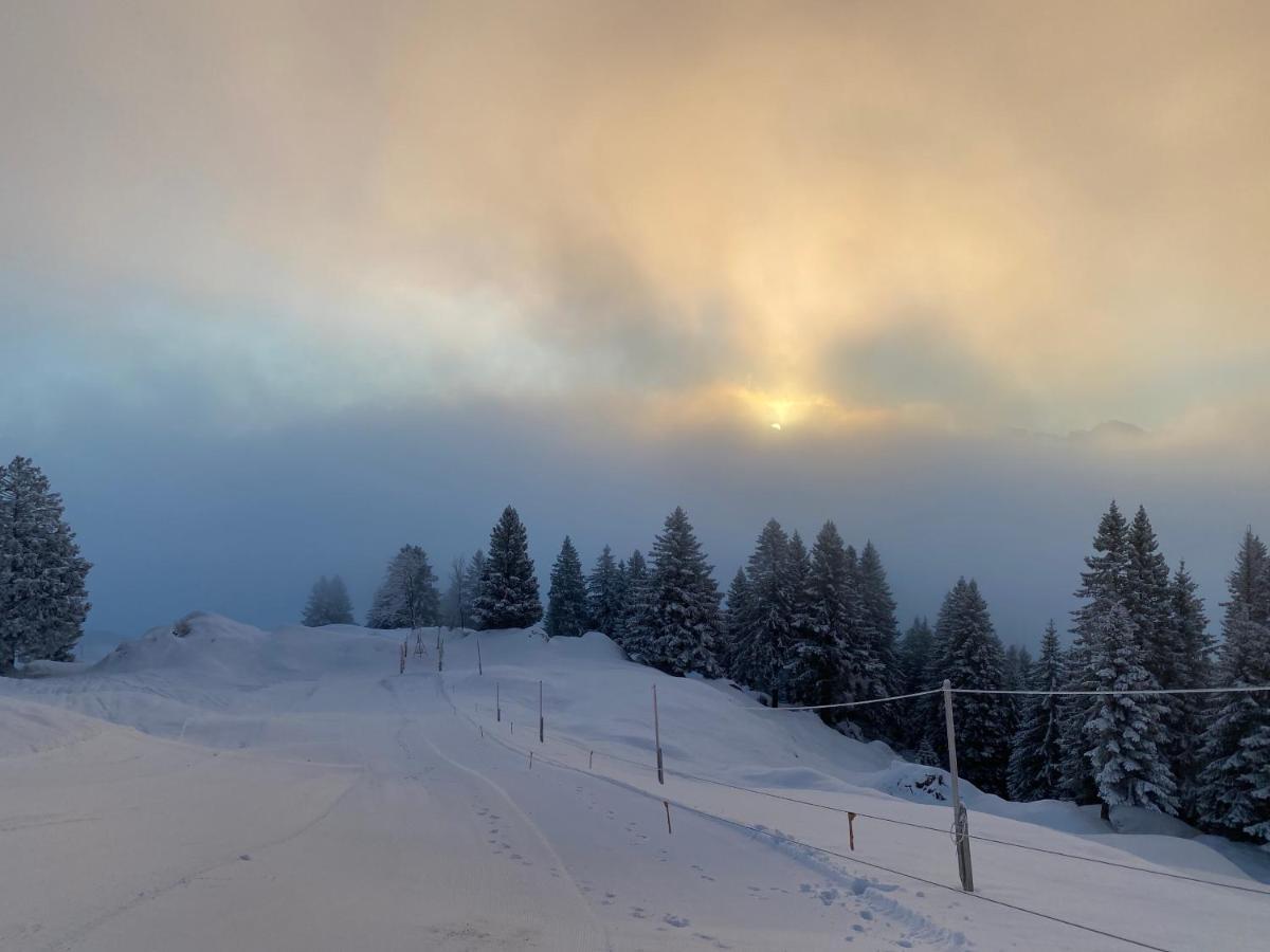 Rigi-Burggeist Alpine Guesthouse Gersau Dış mekan fotoğraf