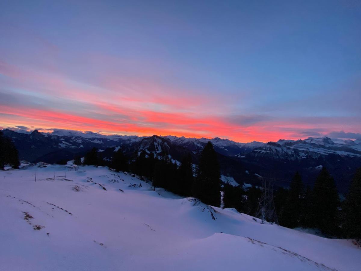 Rigi-Burggeist Alpine Guesthouse Gersau Dış mekan fotoğraf