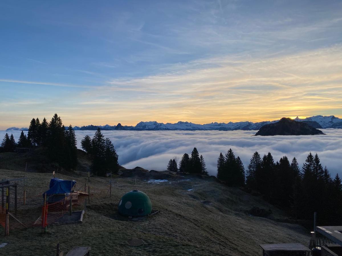 Rigi-Burggeist Alpine Guesthouse Gersau Dış mekan fotoğraf