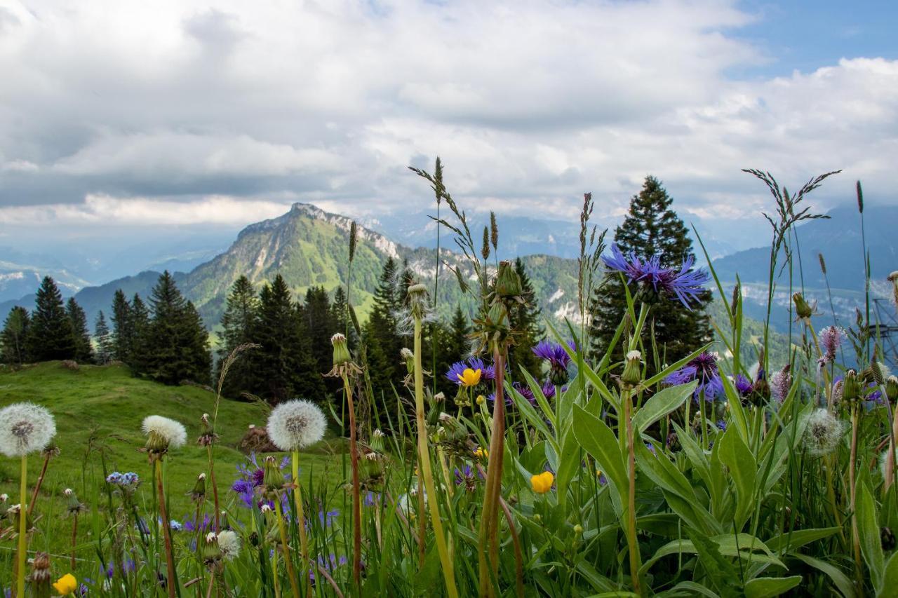 Rigi-Burggeist Alpine Guesthouse Gersau Dış mekan fotoğraf