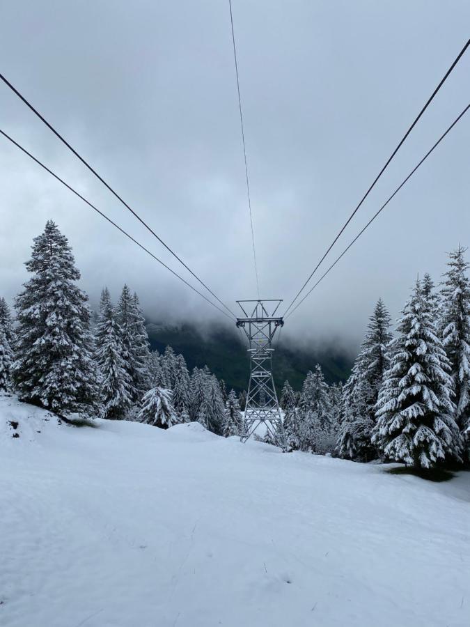 Rigi-Burggeist Alpine Guesthouse Gersau Dış mekan fotoğraf