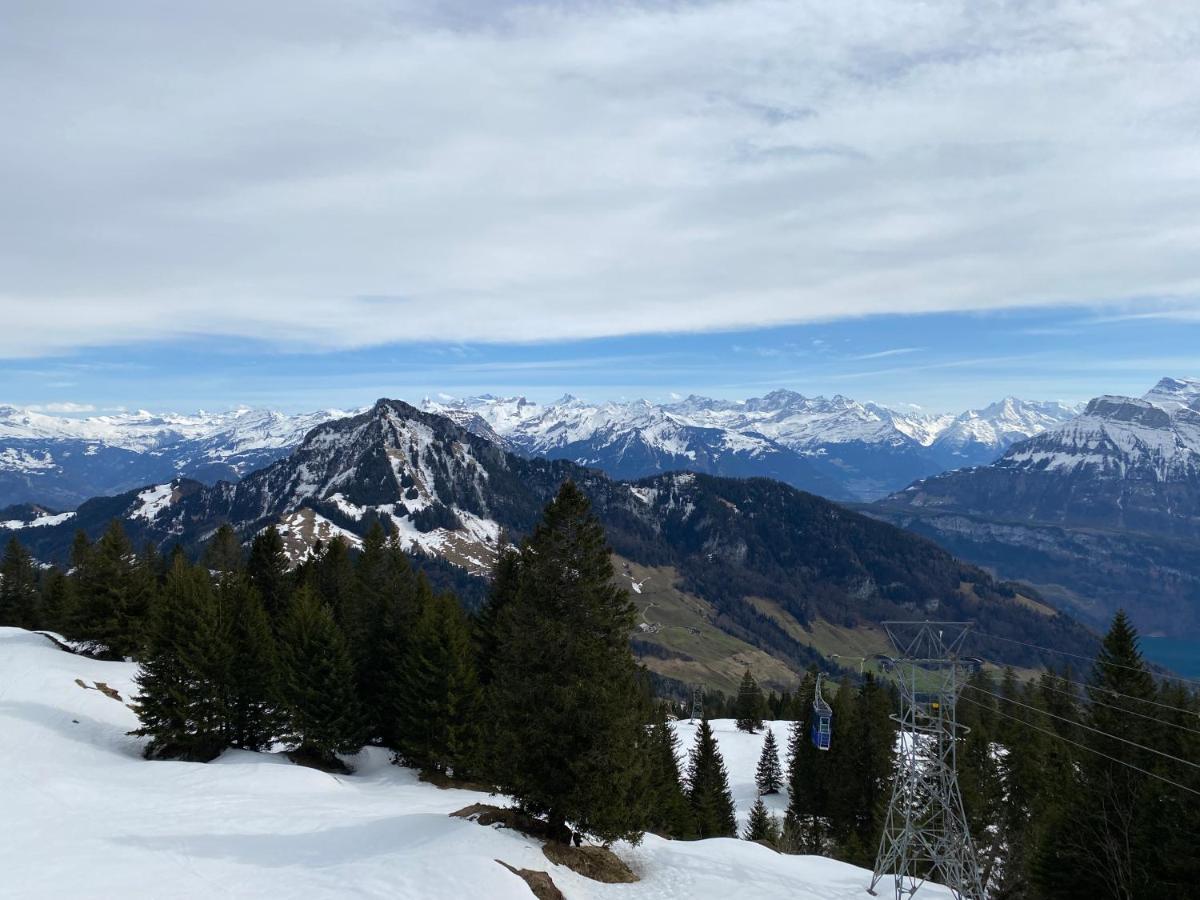 Rigi-Burggeist Alpine Guesthouse Gersau Dış mekan fotoğraf