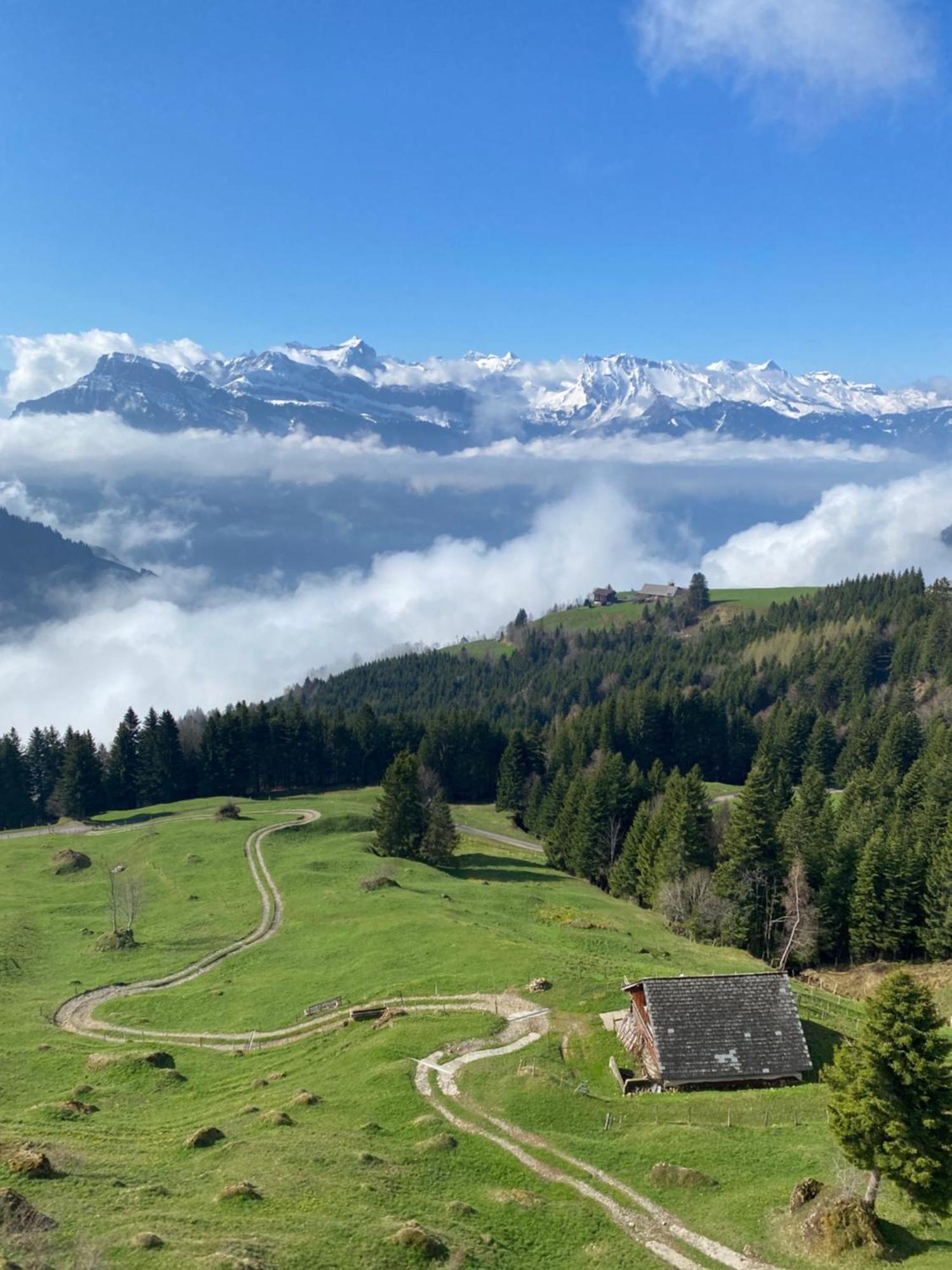 Rigi-Burggeist Alpine Guesthouse Gersau Dış mekan fotoğraf